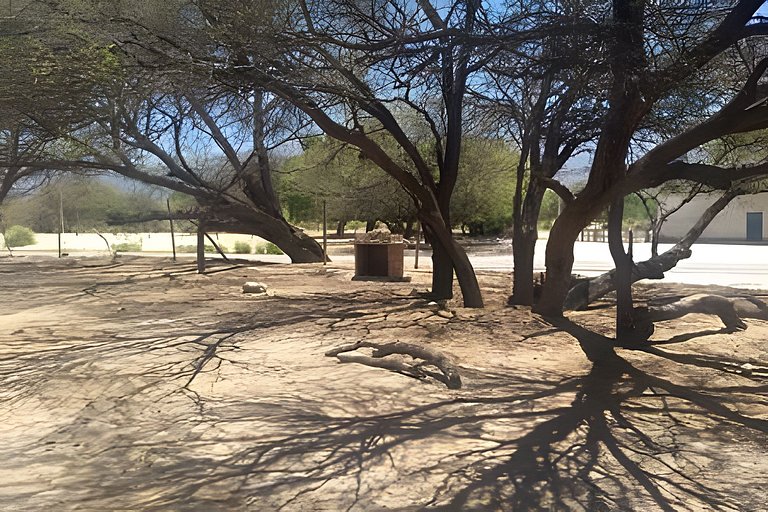 Camping Agreste- El Algarrobo de Quilmes