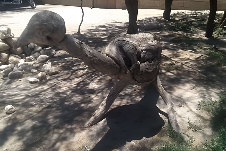Camping Agreste- El Algarrobo de Quilmes