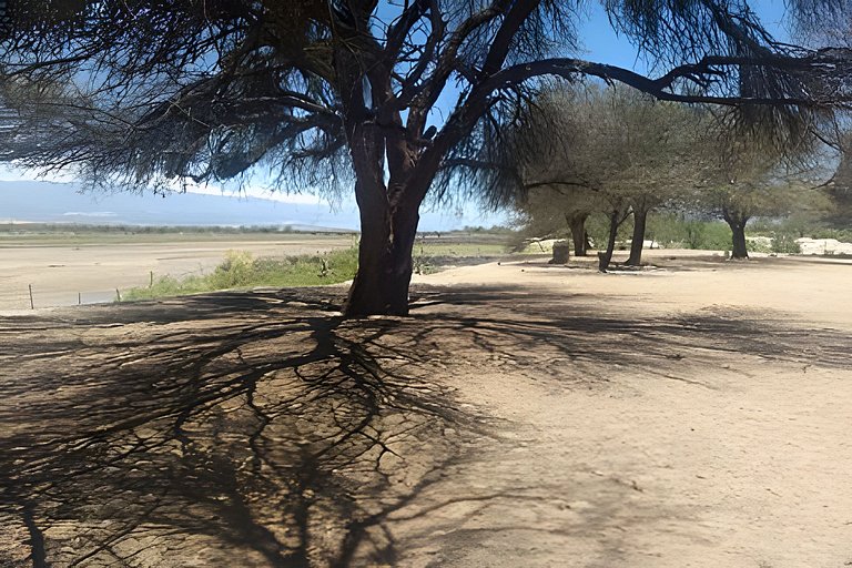 Camping Agreste- El Algarrobo de Quilmes