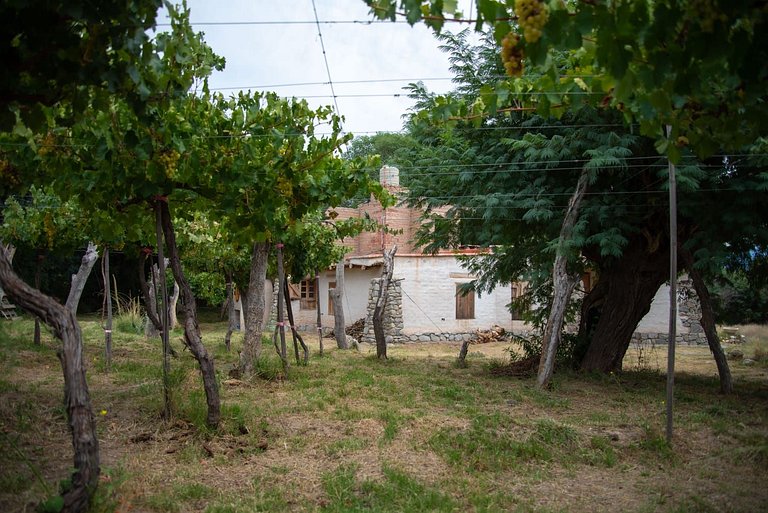 Casa Adobe Amaicha: Río, Paz y Fogón
