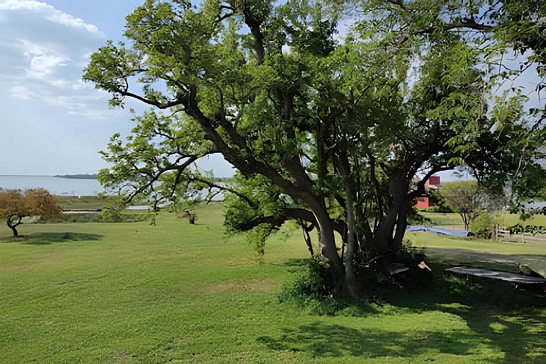 Estrella Federal. Casita del Río