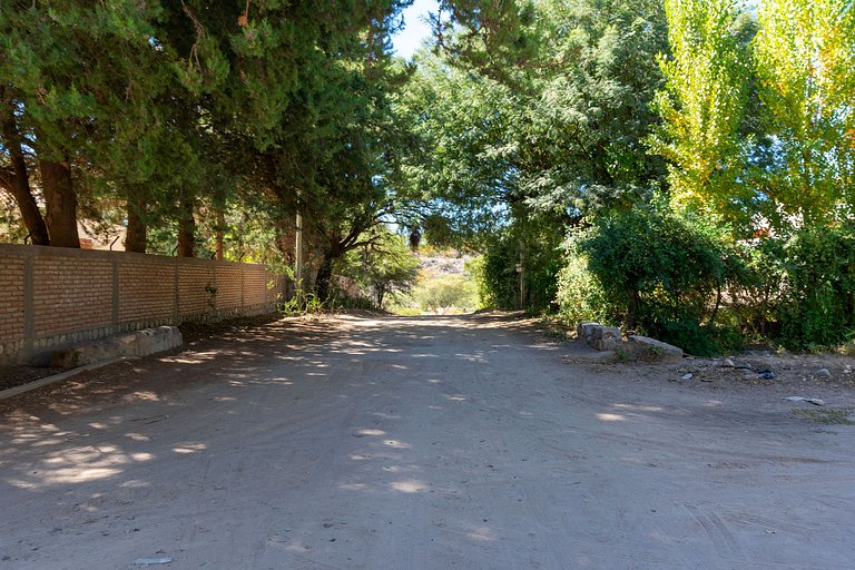 Cerco del Trigo. Total peace