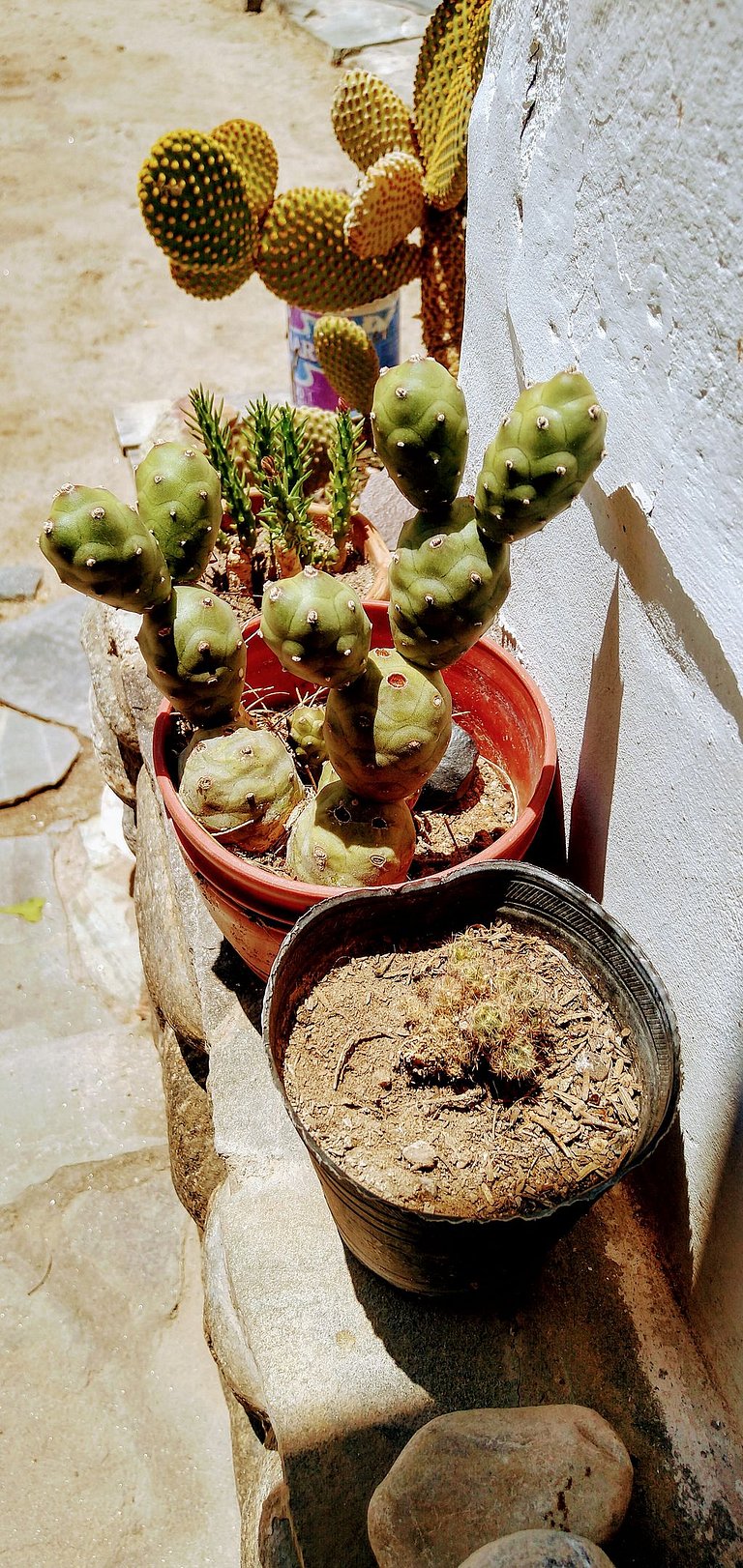 Cabaña Achalay ALAMO – Refugio en Santa María