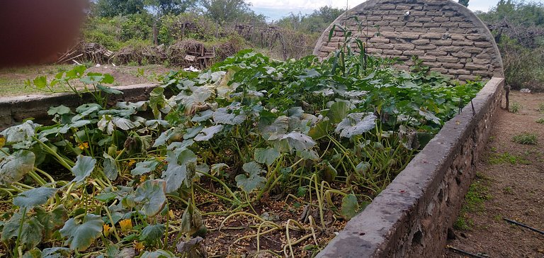 Cabaña Achalay ALAMO – Refugio en Santa María