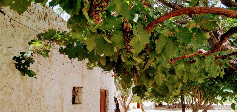 Cabaña Achalay BFREA– Refugio en Santa María