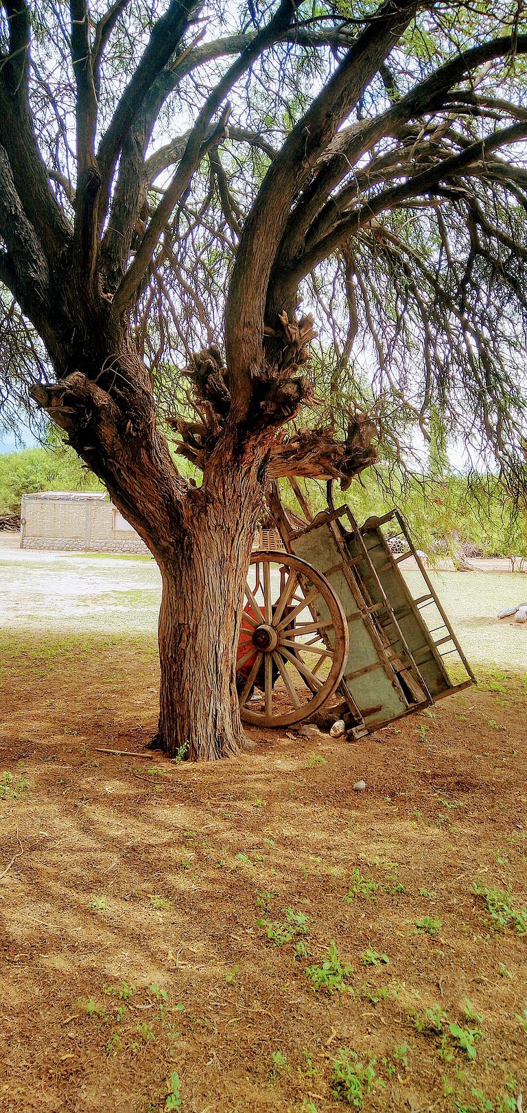 Cabaña Achalay BREA – Refugio en Santa María