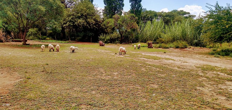Cabaña Achalay BFREA– Refugio en Santa María
