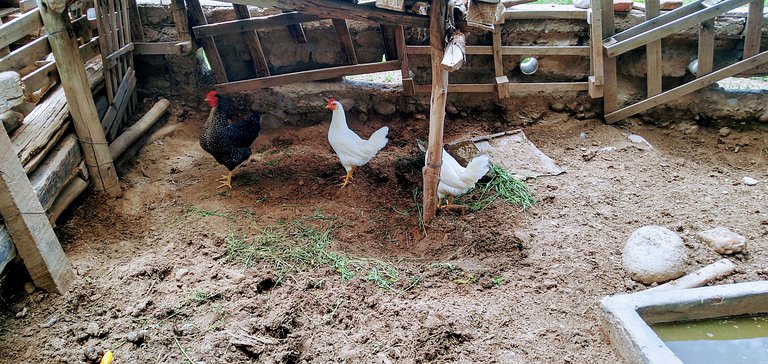 Cabaña Achalay BFREA– Refugio en Santa María