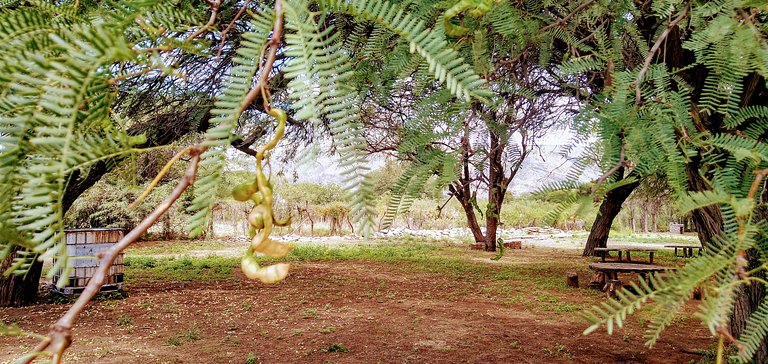 Cabaña Achalay BFREA– Refugio en Santa María