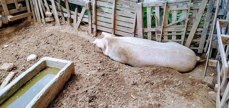 Cabaña Achalay BFREA– Refugio en Santa María