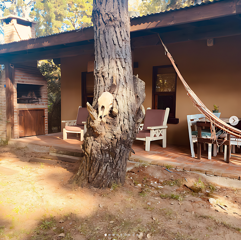 Cabana As Bétulas, Perto da Praia