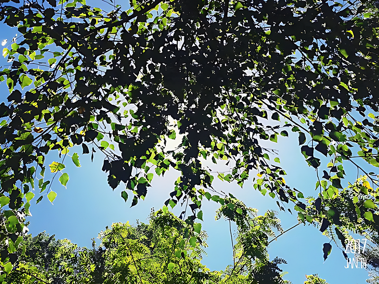 Cabana Cedro Azul, Perto da Praia