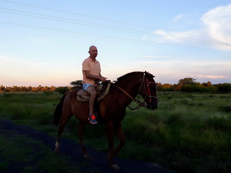 Los Lapachos. A natureza está aqui