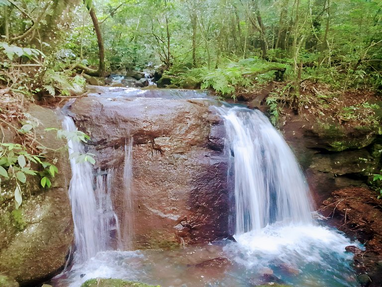 Los Lapachos. A natureza está aqui