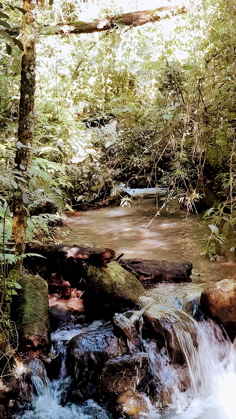 Los Lapachos. La naturaleza es acá
