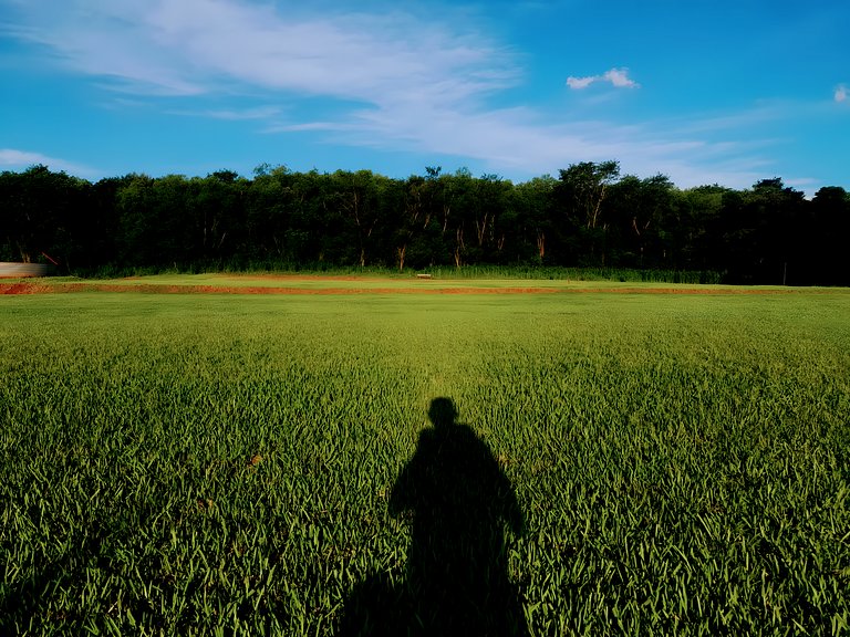 Los Lapachos. A natureza está aqui