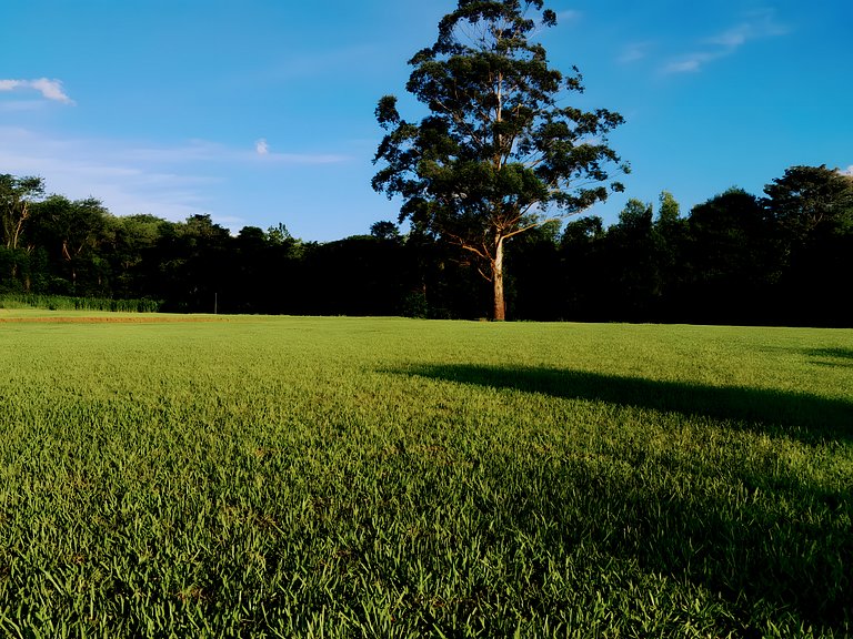 Los Lapachos. La naturaleza es acá