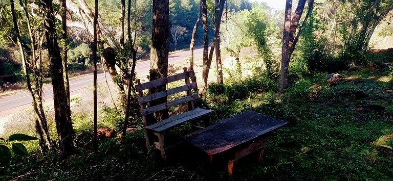 Los Lapachos. A natureza está aqui