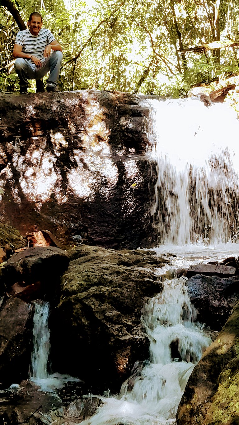 Los Lapachos. Nature is here.