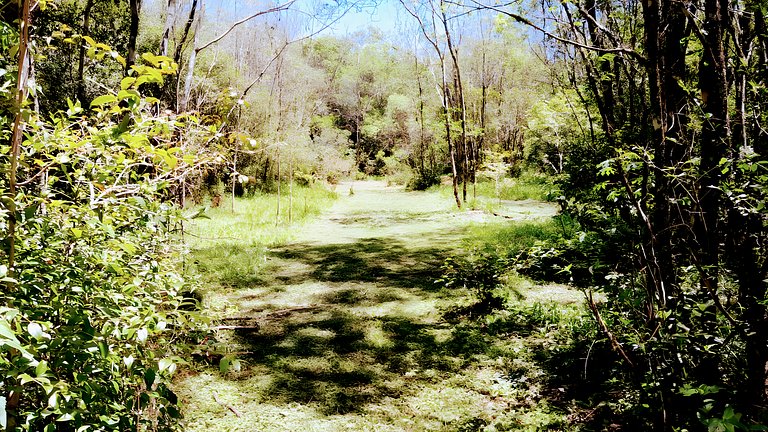 Los Lapachos. A natureza está aqui