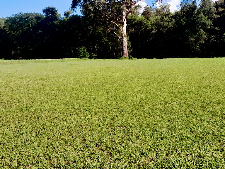 Los Lapachos. Nature is here.