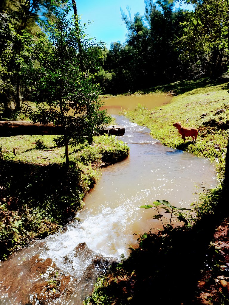 Los Lapachos. A natureza está aqui