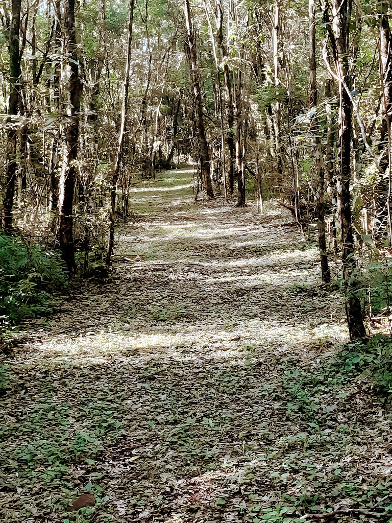 Los Lapachos. Nature is here.