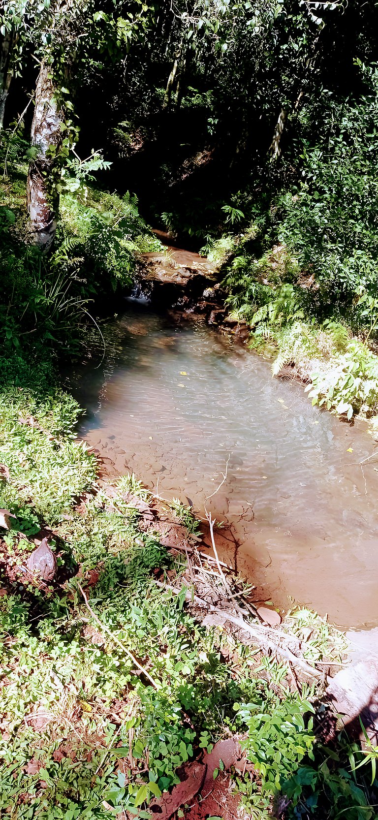 Los Lapachos. Nature is here.