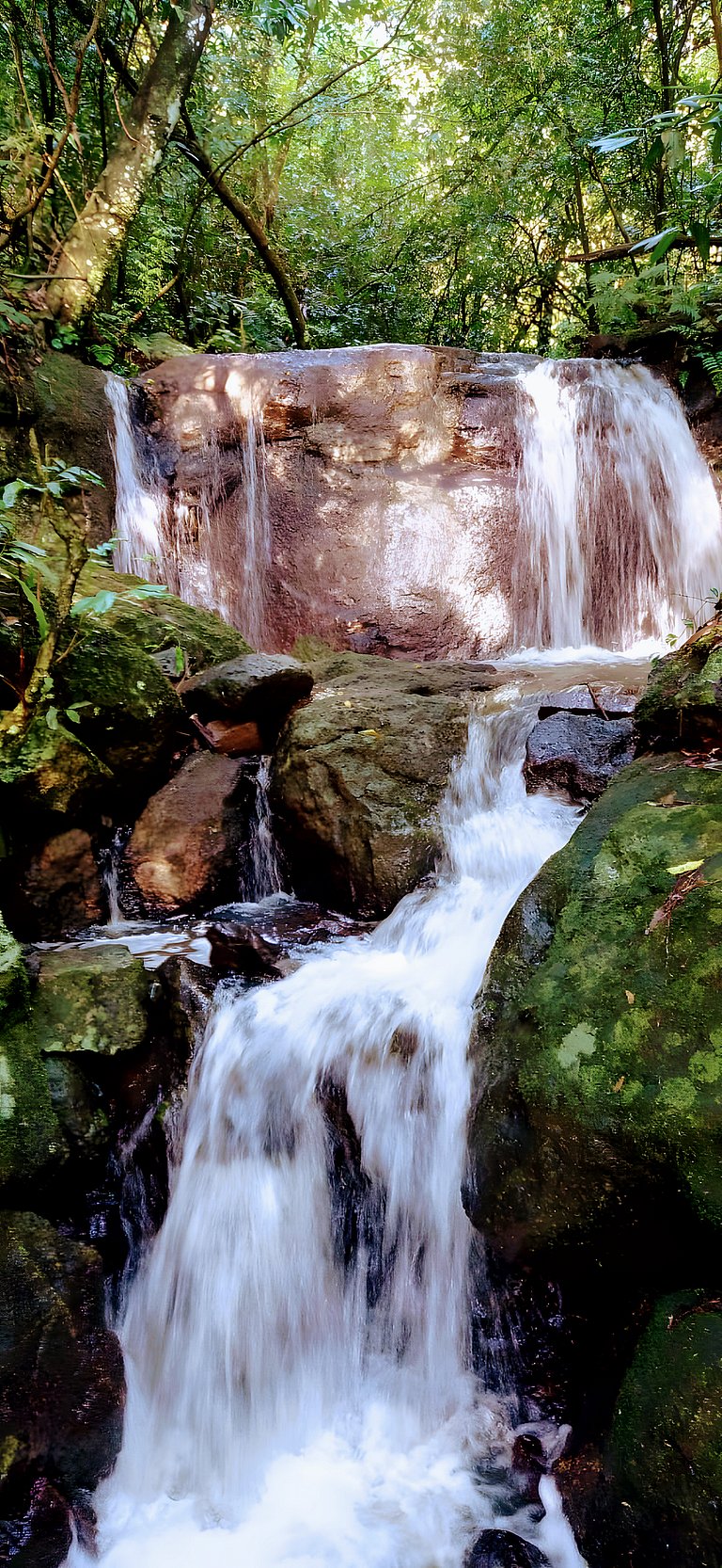 Los Lapachos. A natureza está aqui