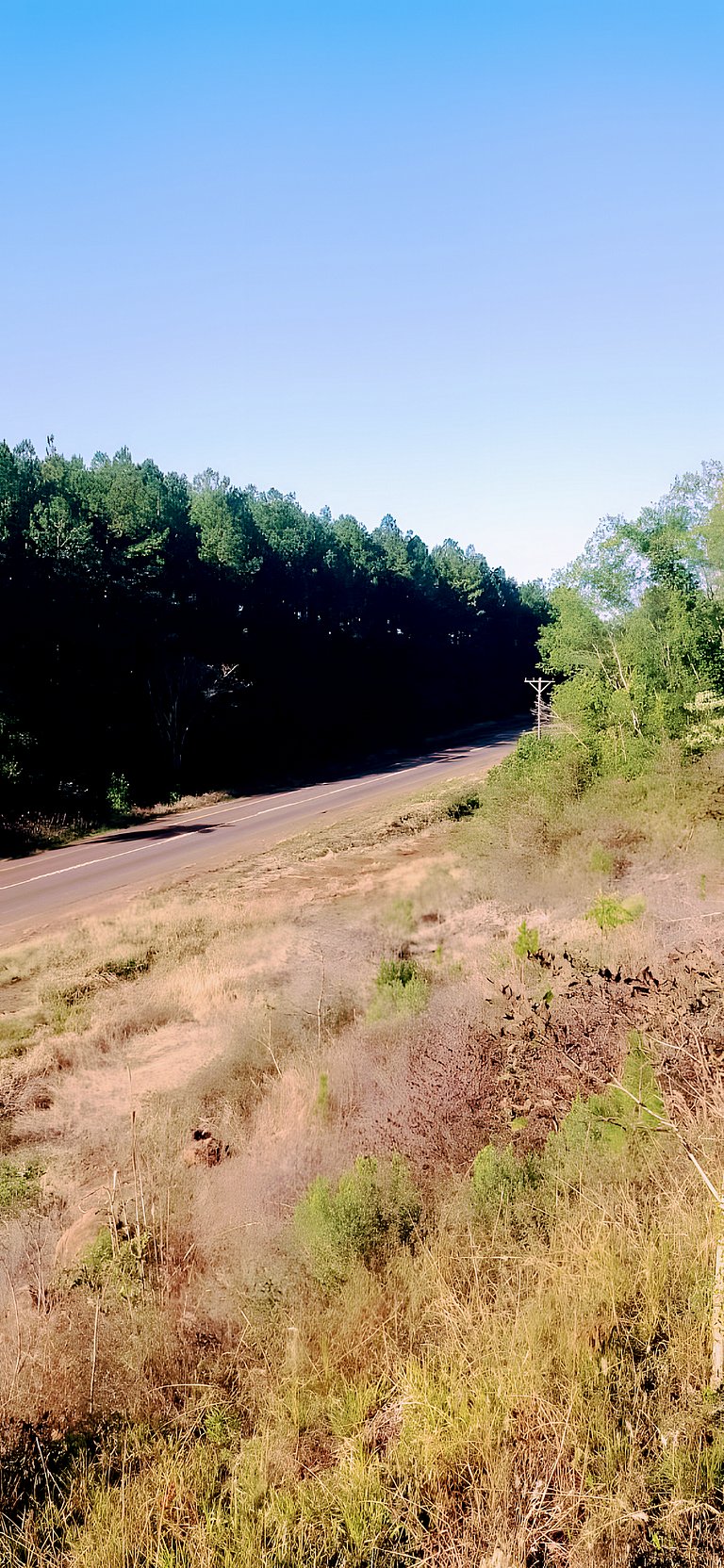 Los Lapachos. A natureza está aqui