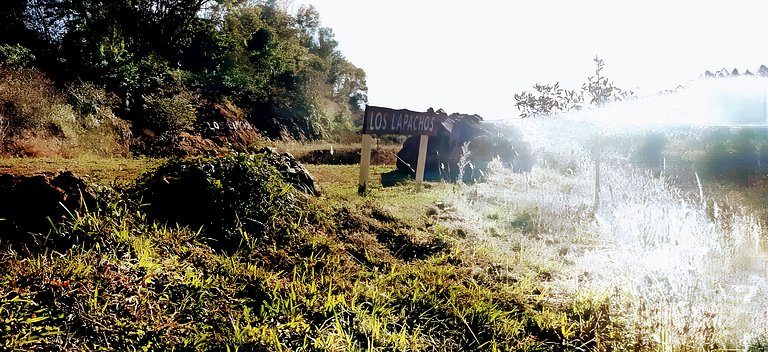 Los Lapachos. A natureza está aqui