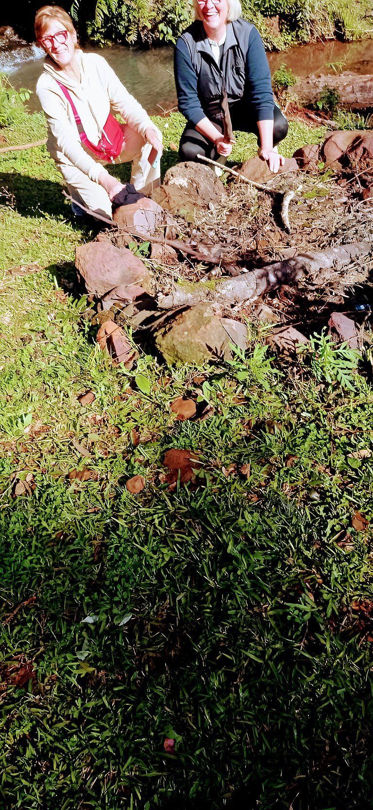 Los Lapachos. A natureza está aqui