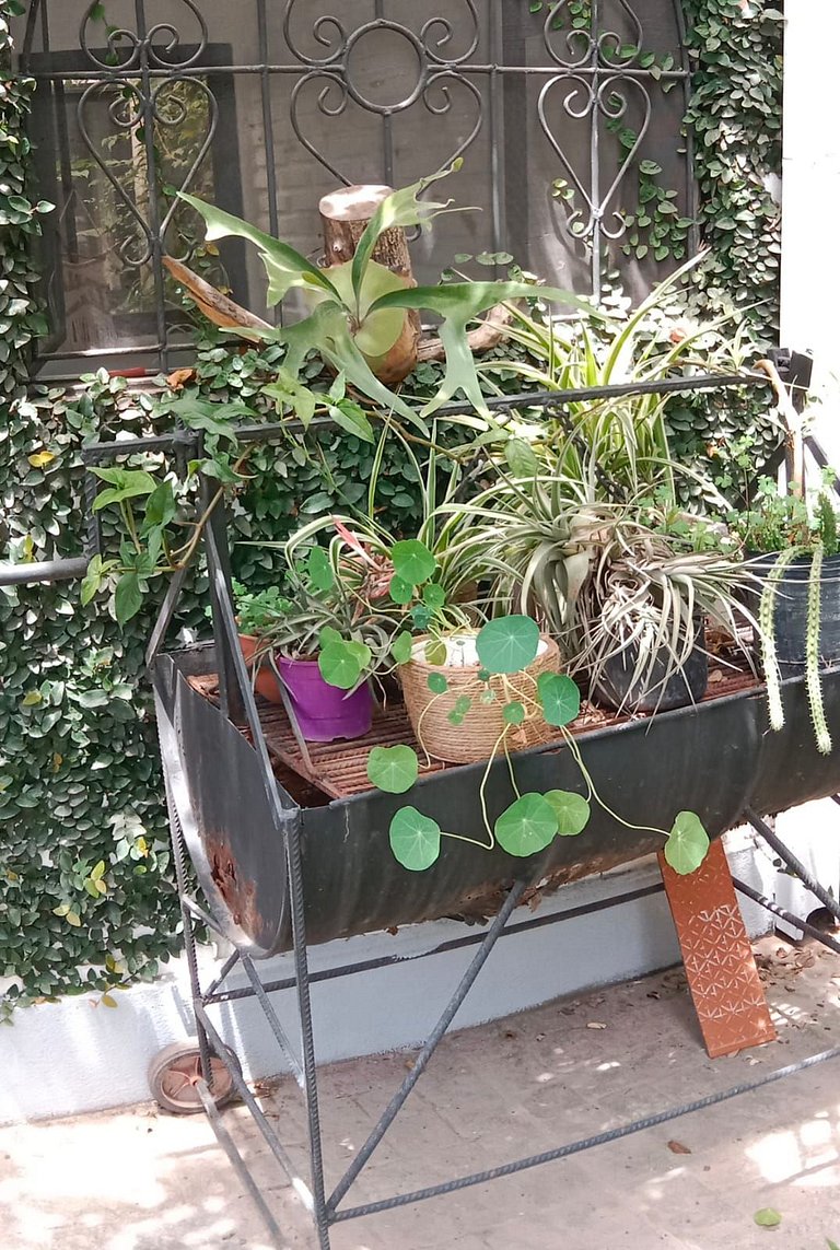 Lo de Sara. Casa pequena ao pé do morro.