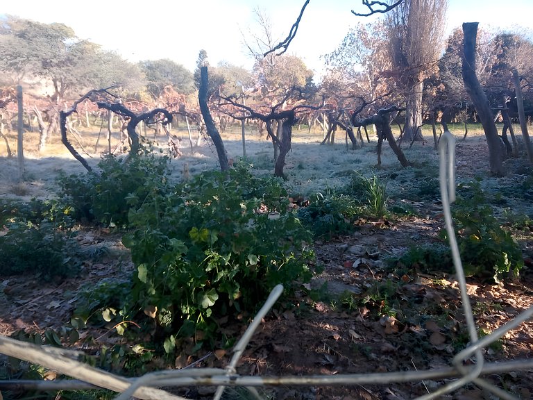 A Valentina na paz de Los Zazos