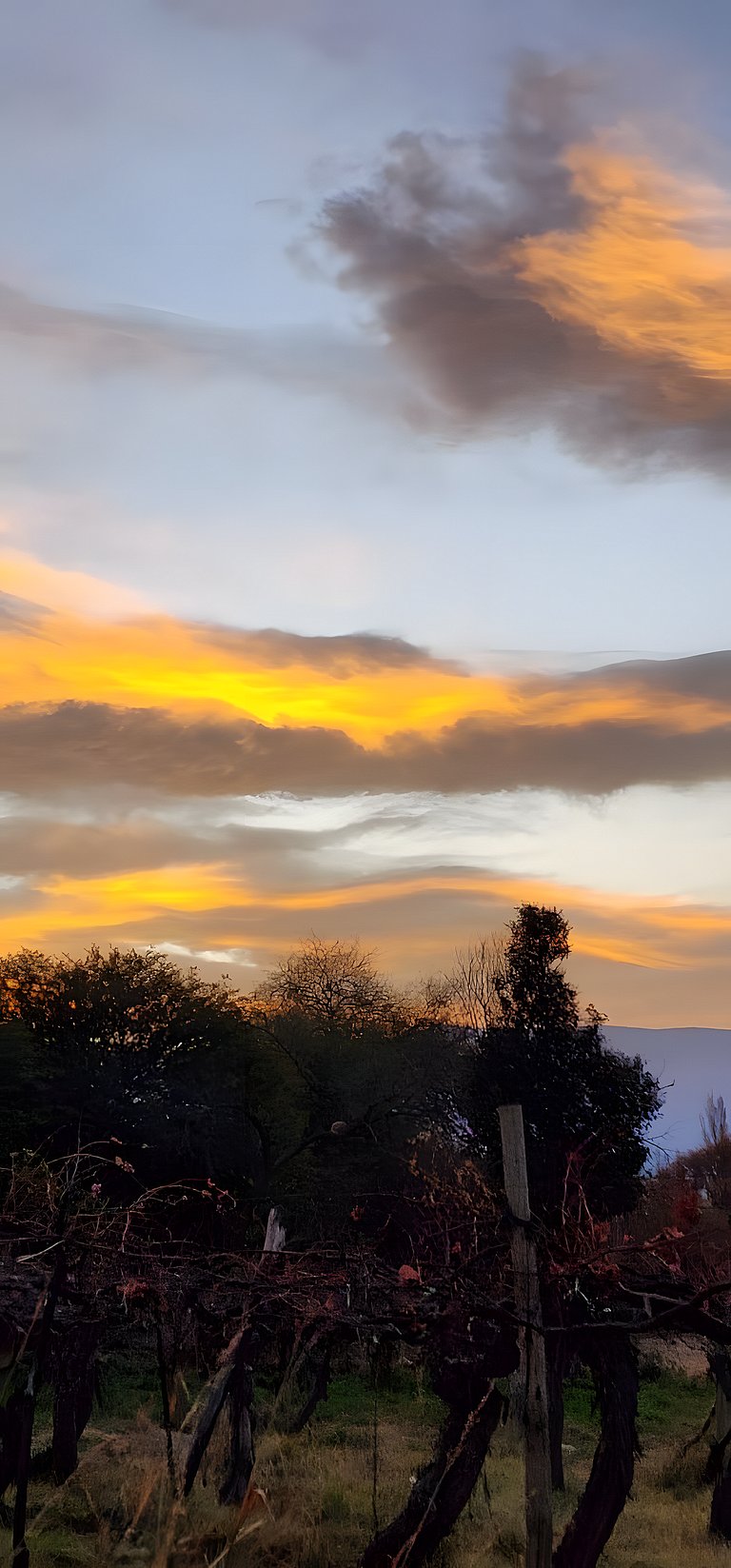 A Valentina na paz de Los Zazos