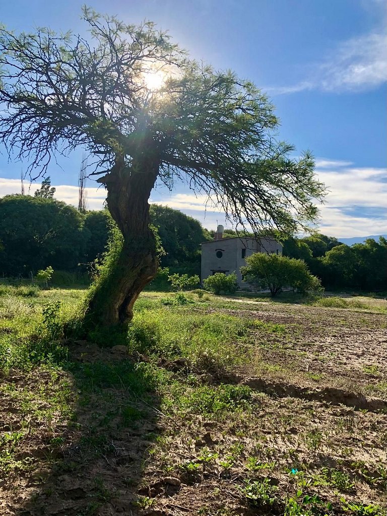 Casa escondida em La Fronterita de Amaicha