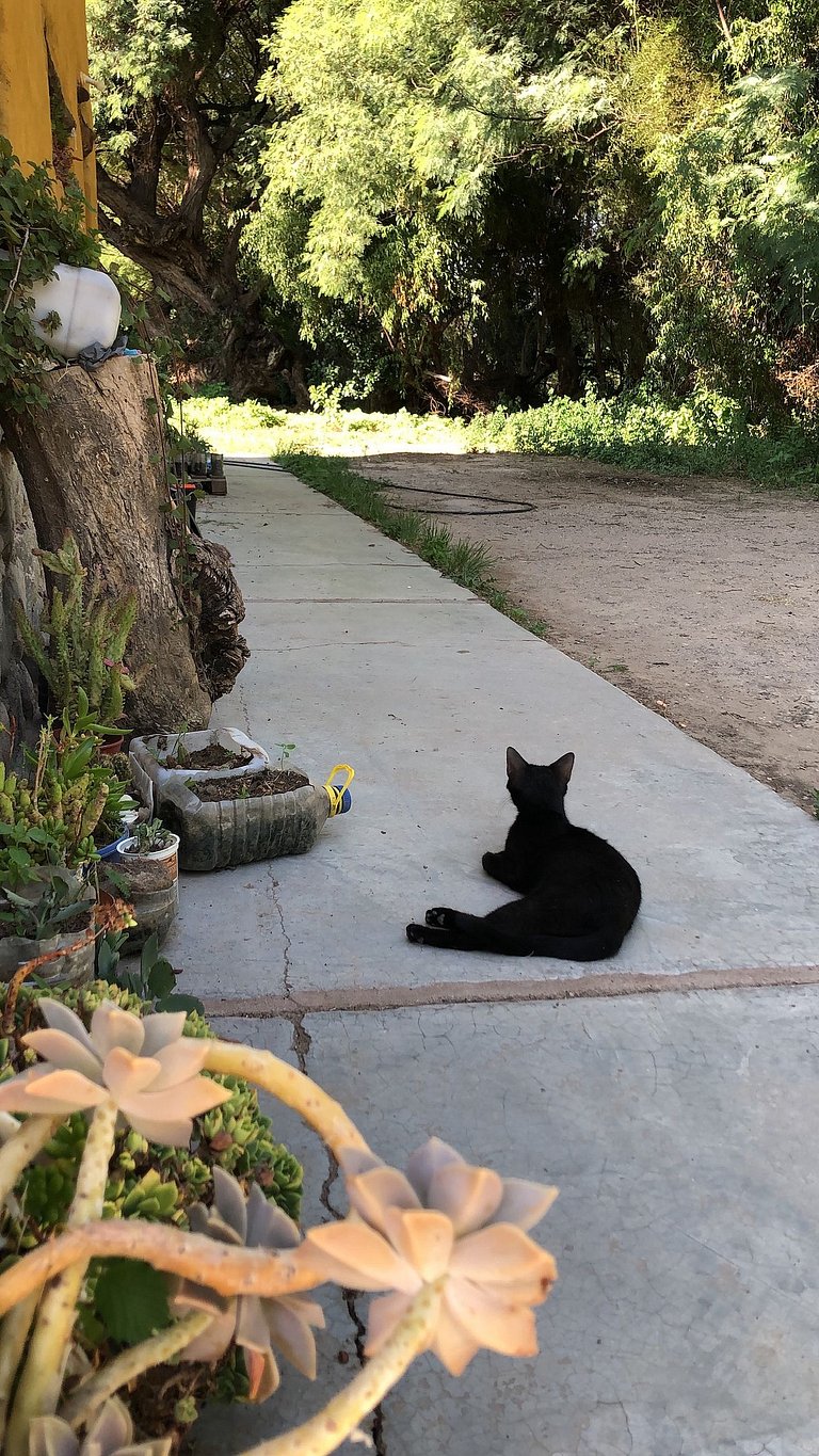 Casa escondida em La Fronterita de Amaicha