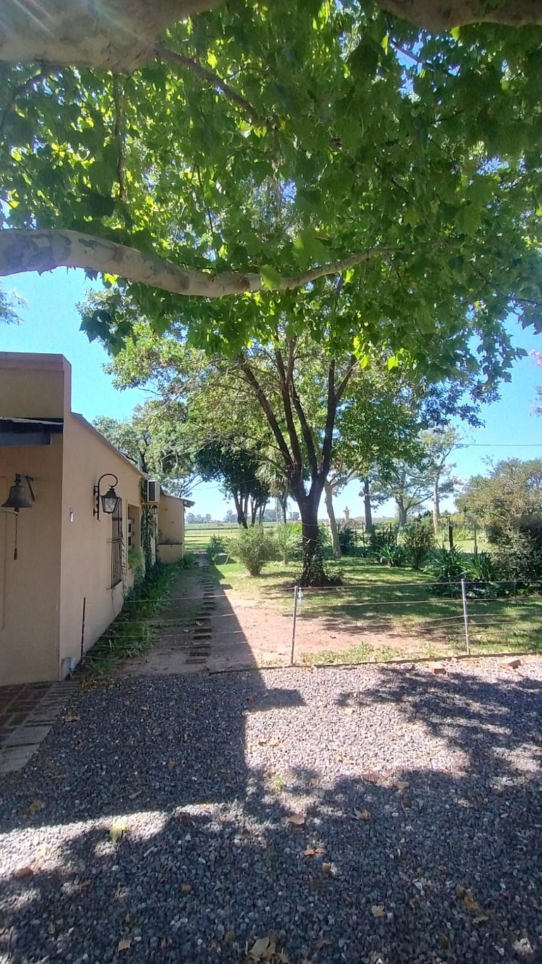 La Querencia – A perfect place to rest